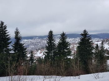 Randonnée Raquettes à neige Gérardmer - gerardmer2 - Photo