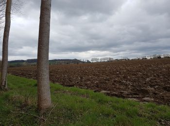 Randonnée Marche Valence - Cornillas, Le vignoble, Peyrandieu - Photo