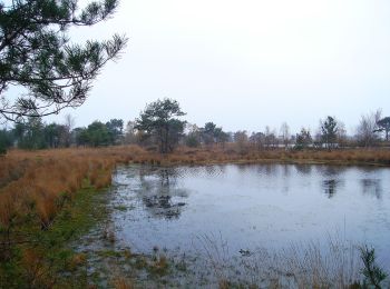 Trail On foot Kalmthout - Wandelpad Schaap - Photo