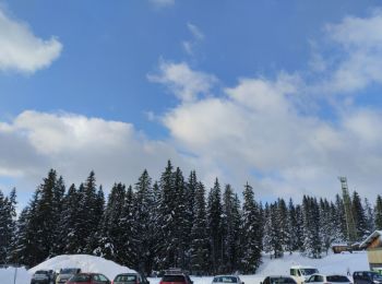 Tour Schneeschuhwandern Chapelle-des-Bois - chez Michel -rando raquettes  - Photo