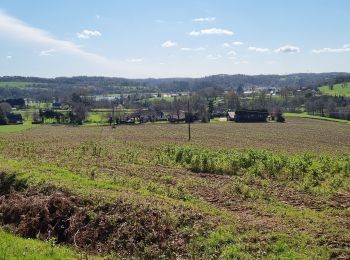 Excursión Senderismo Béganne - FOLLEUX2 17 MARS 2022 - Photo