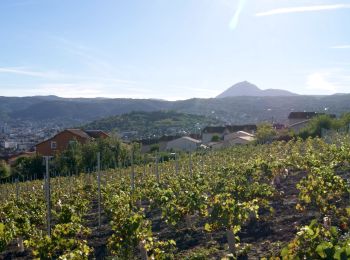 Excursión Senderismo La Sauvetat - Veyre_Gagne_Vin - Photo