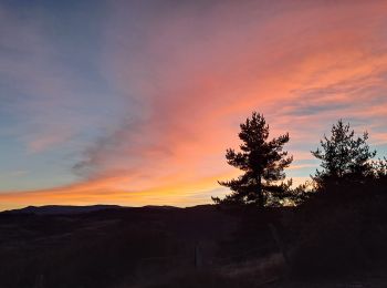 Randonnée Marche Barre-des-Cévennes - Cam noire - Photo