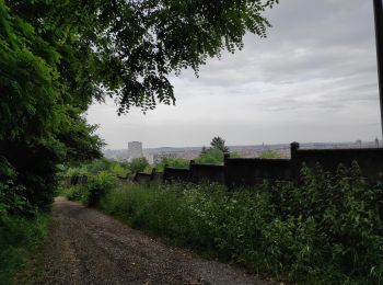 Trail Walking Nancy - Balade fin de couvrefeu.  - Photo