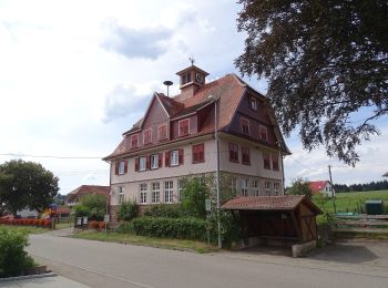 Tocht Te voet Neuweiler - Straßenwartshütte - Teufelsberg - Photo