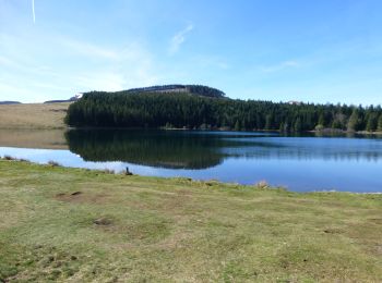 Randonnée Marche Vernines - lac de Servières - Photo