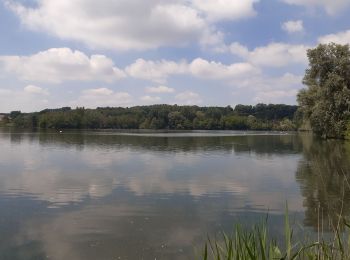 Tocht Stappen Huldenberg - petite rando autour du kinderveld - Photo