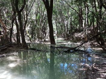 Randonnée Marche Nans-les-Pins - Sainte Baume : Nans les Pins - Chemin des Roys _ Les source de L'Huveaune - Photo