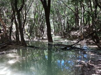 Tocht Stappen Nans-les-Pins - Sainte Baume : Nans les Pins - Chemin des Roys _ Les source de L'Huveaune - Photo