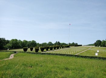 Randonnée Marche Soultz-Haut-Rhin - Croix Zimmermann - Vieil Armand (17/06/2021) - Photo