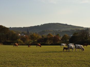 Percorso A piedi Manzat - Aux Sources de la Morge - Photo