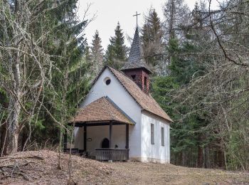 Percorso A piedi Liebenfels - Vierbergelauf - Photo