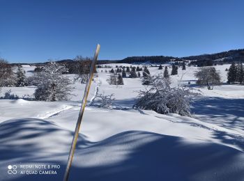 Tour Schneeschuhwandern La Pesse - L'Embossieux-La Croix des couloirs-La Pesse - Photo