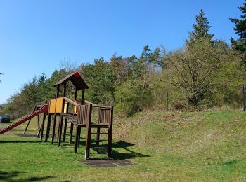 Percorso A piedi Bad Endbach - Wanderweg E17 / Endbacher Platte - Photo