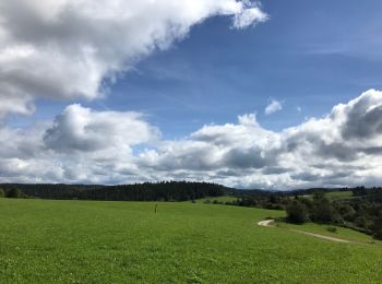 Tocht Stappen Vagney - Le Haut des Charmes , Tour des croix - Photo