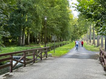 Randonnée Vélo de route Saint-Pierre-en-Port - Les grandes dalles (pays de Caux) - Photo