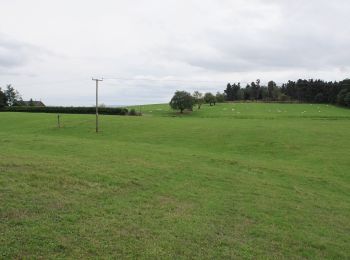 Tocht Te voet  - The Stiperstones Circular - Photo