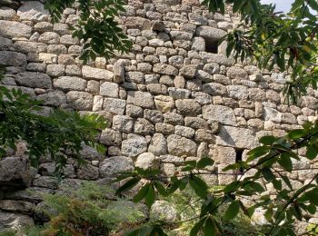 Tour Wandern Génolhac - Genolhac - Photo