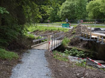 Percorso A piedi Langenbacher Forst - Frankenwaldsteigla 12-Apostel-Weg - Photo