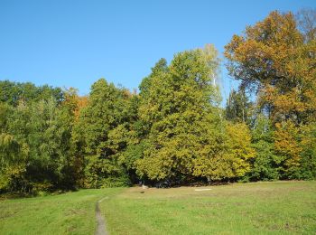 Randonnée A pied Inconnu - Grüner Punkt 