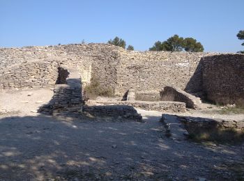 Excursión Senderismo Nages-et-Solorgues - 30  nages et solorgues langlade - Photo