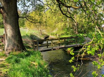 Trail Walking Huldenberg - Terlanen - Photo