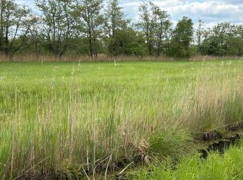 Trail sport Weststellingwerf - PB parc Rottige Meente - Photo