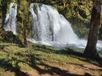 Excursión Senderismo Jeurre - partis de jeurre ensuite la chapelle Saint Romain et la cascade de l enragé  - Photo