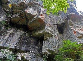 Percorso A piedi Selva di Progno - Dorsale Media della Lessinia - sezione Campofontana - Camposilvano - Photo