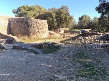 Excursión Senderismo Nages-et-Solorgues - nages-langlades - Photo