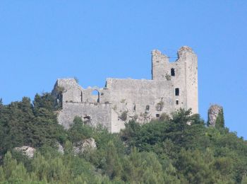 Percorso A piedi Arrone - Via di Francesco - Tappa 17 Arrone-Piediluco - Photo