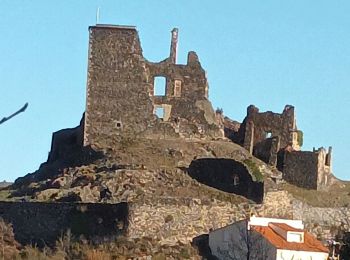 Excursión Senderismo Le Vivier - LEVIVIER - Photo