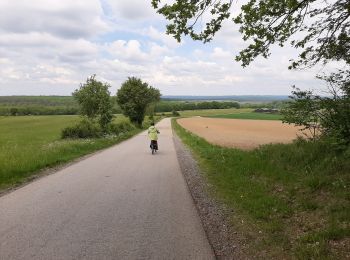 Randonnée Vélo électrique Wellin - Froidlieu-Ave-Lessive-Villers-Lavaux-Froidlieu - Photo