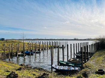 Excursión Senderismo Lummen - La digue du lac de Schulen - Photo