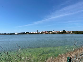 Excursión Senderismo Noirmoutier-en-l'Île - Randonnée nord Noirmoutier  - Photo