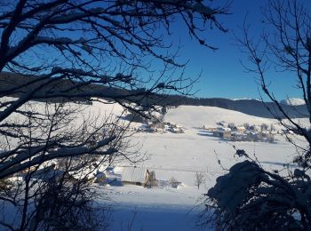 Tour Schneeschuhwandern Autrans-Méaudre en Vercors - Pas de Pertuson en circuit - Photo