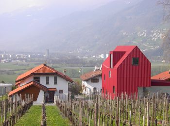 Tour Zu Fuß Malans - Malans - Felsenbach - Photo