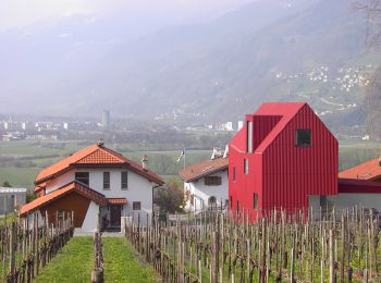 Percorso A piedi Maienfeld - Meienfeld - Malans - Photo