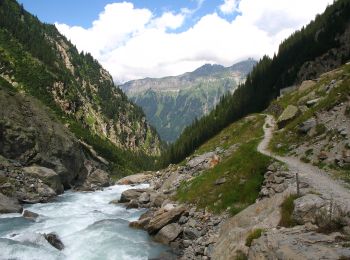 Excursión A pie Innertkirchen - Schwendi - Underi Trift - Photo