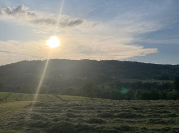 Randonnée Marche Entrelacs - La Biolle et Albens - Photo