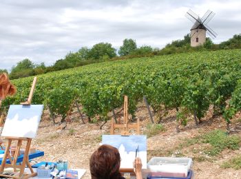 Randonnée A pied Santenay - Circuit des Crêtes - Photo