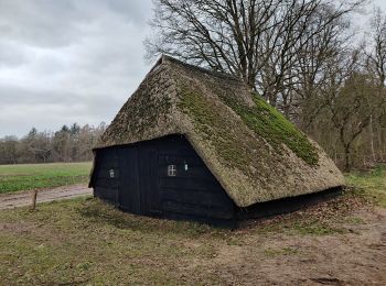 Randonnée A pied Dalfsen - WNW Vechtdal - Sterrenbosch - groene route - Photo