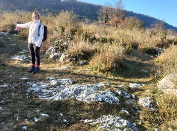 Randonnée Marche Coursegoules - garavagne - Photo