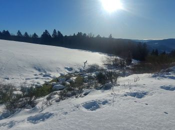 Trail Snowshoes Cornimont - Croix Louis - Photo