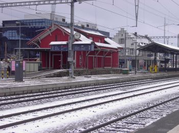 Tour Zu Fuß Freienbach - Pfäffikon - Lidwil - Photo