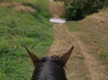 Tour Reiten Fronton -  trec club 1 - Photo