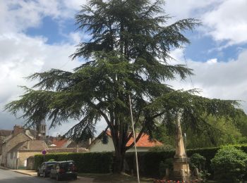 Percorso Marcia Dampierre-en-Yvelines - Aller retour dampierre - Photo
