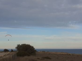 Trail Walking Leucate - Leucate La Franquie par la falaise  - Photo