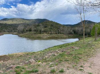 Randonnée V.T.T. Les Adrets-de-l'Estérel - Esterel 9 : Fait 03/04/23 lac st Cassien et barrage du Malapasset et lac Lavellan - Photo