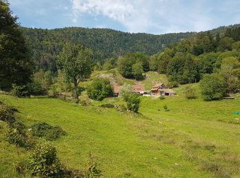 Randonnée Marche Sewen - Sewen - Lac d'Alfeld - Ferme auberge du Baerenbach - Photo